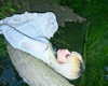 lejinfan Altpins Profile Picture
