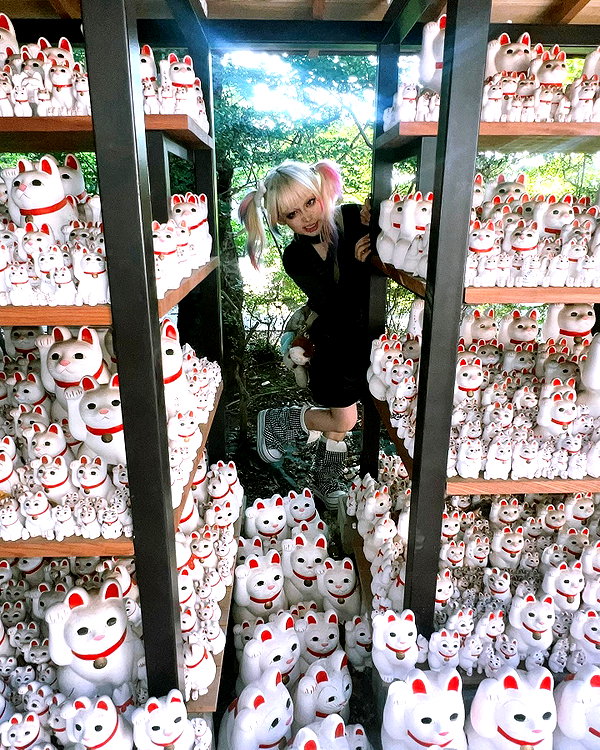 lejinfan instagram image archive image