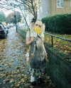 lejinfan Altpins Profile Picture