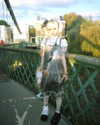 lejinfan Altpins Profile Picture