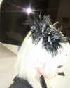 lejinfan Altpins Profile Picture