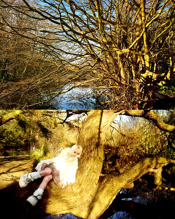 lejinfan instagram image archive image