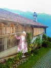 lejinfan Altpins Profile Picture