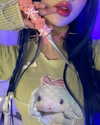 lena_kitsune Altpins Profile Picture