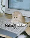 lena_kitsune Altpins Profile Picture