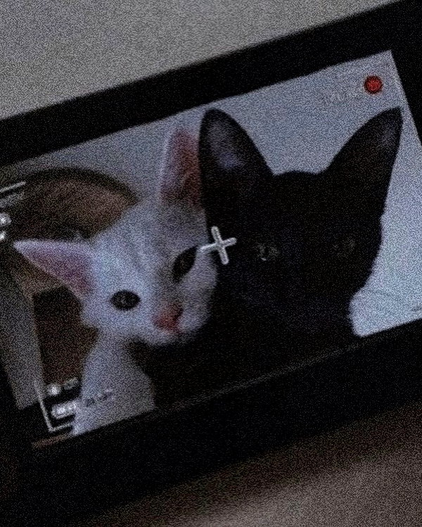 lena_kitsune instagram image archive image