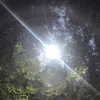 lerasww Altpins Profile Picture