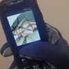 lerasww Altpins Profile Picture