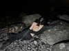 lerasww Altpins Profile Picture