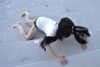 lerasww Altpins Profile Picture