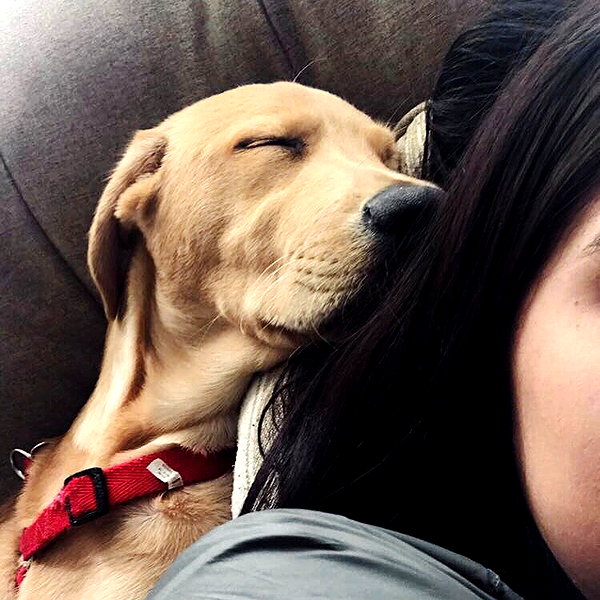 lesliemariemoreno instagram image archive image
