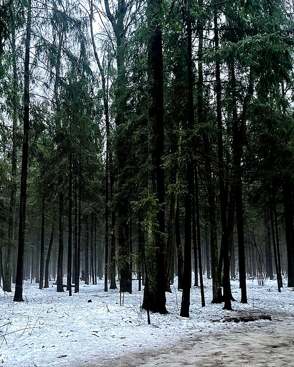 leytink instagram image archive image
