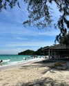 leytink Altpins Profile Picture