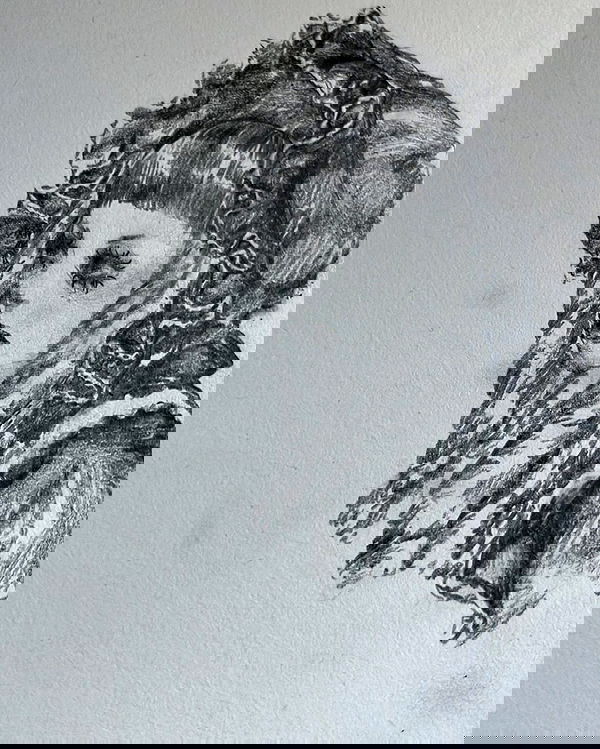 li.zi.707 li.zi.707 archive image