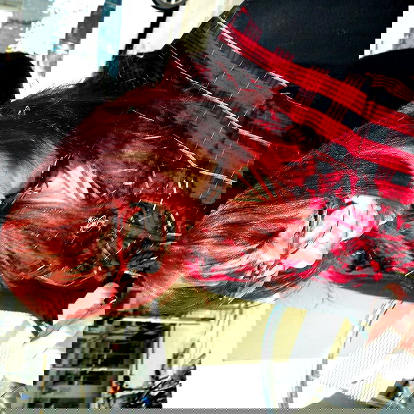 li.zi.707 li.zi.707 archive image