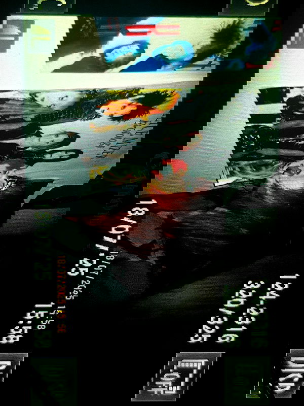 li.zi.707 li.zi.707 archive image