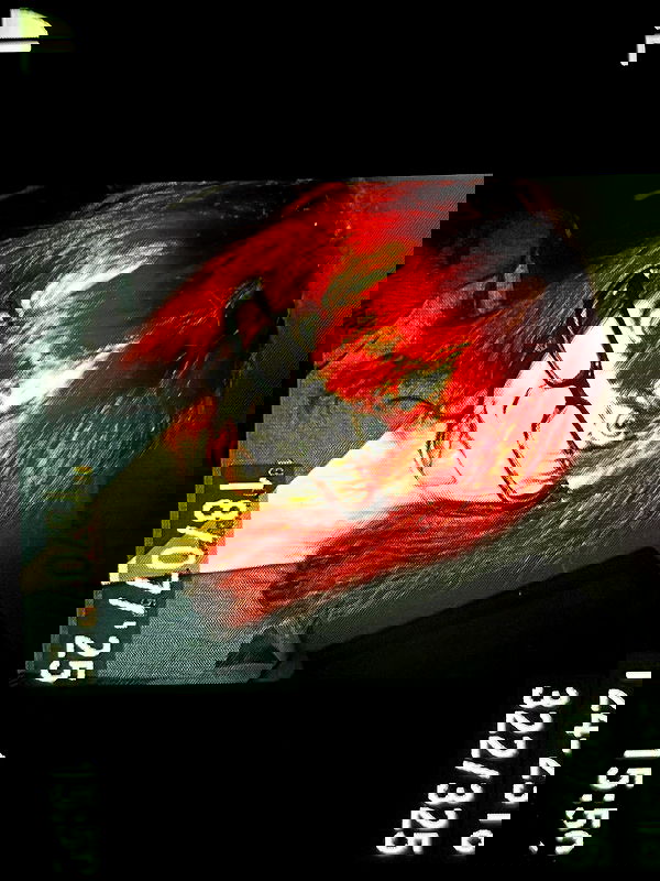 li.zi.707 li.zi.707 archive image