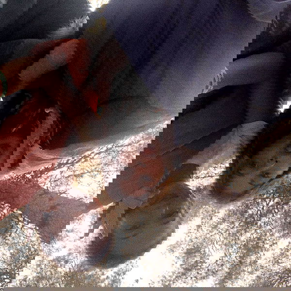 lia_abramovich image ~ Altpins