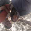lia_abramovich Altpins Profile Picture