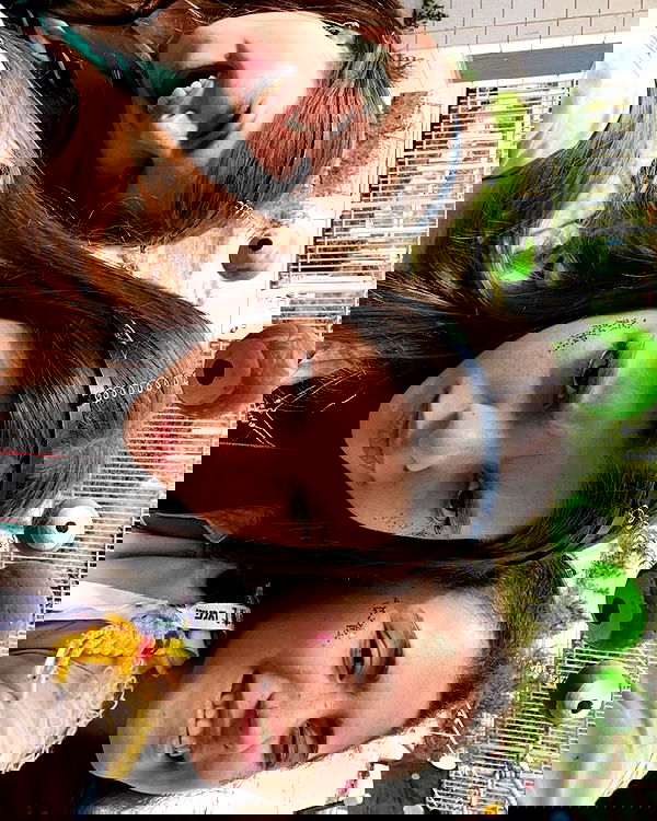 lia_abramovich image ~ Altpins