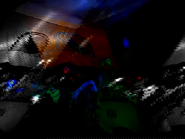 lia_abramovich image ~ Altpins