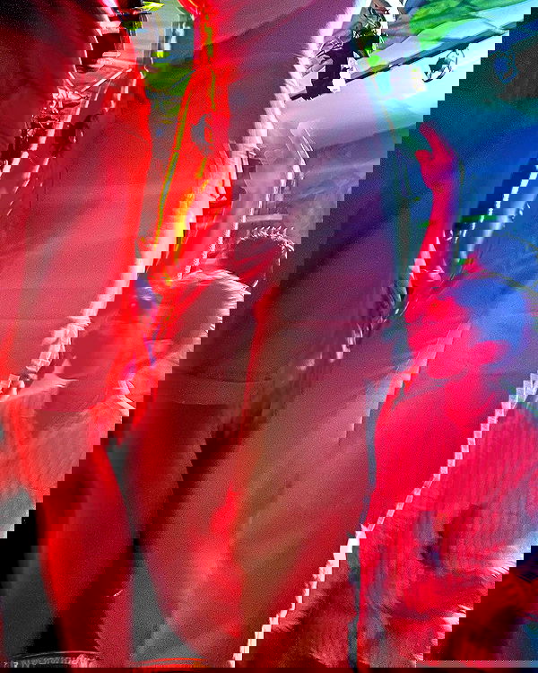 lia_abramovich image ~ Altpins