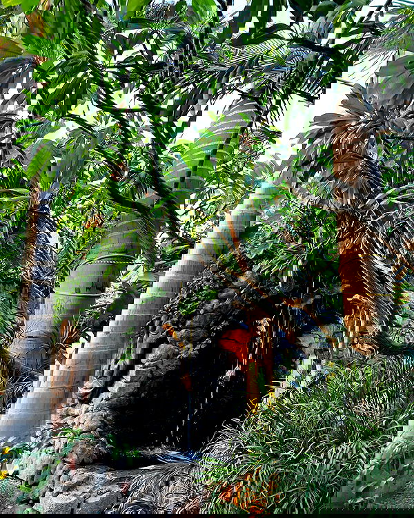 lia_abramovich image ~ Altpins