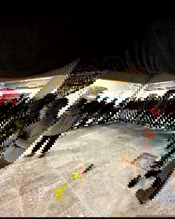 lia_abramovich image ~ Altpins