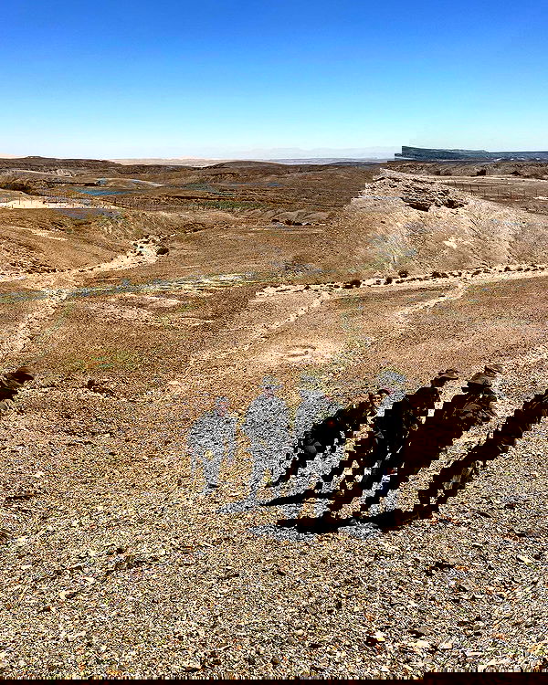 lia_abramovich image ~ Altpins