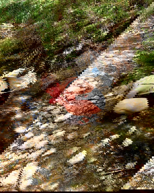 lia_abramovich image ~ Altpins