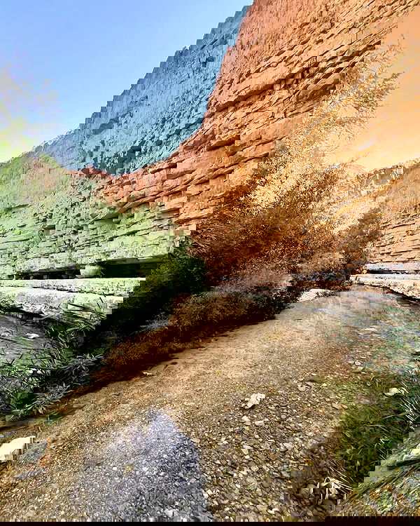 lia_abramovich image ~ Altpins