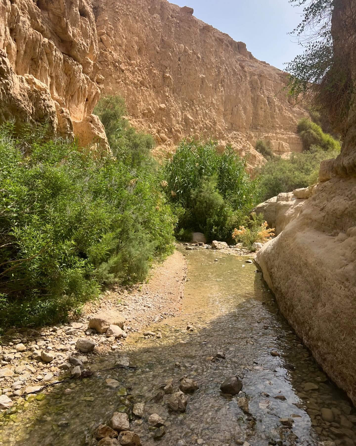 lia_abramovich instagram image archive image