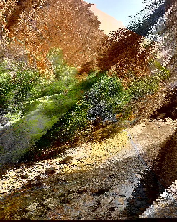 lia_abramovich image ~ Altpins