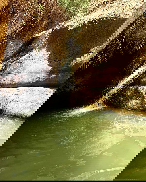 lia_abramovich image ~ Altpins