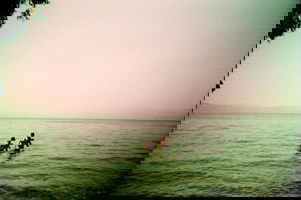 lia_abramovich image ~ Altpins