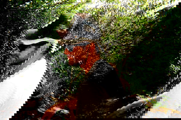 lia_abramovich image ~ Altpins