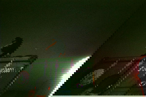 lia_abramovich image ~ Altpins