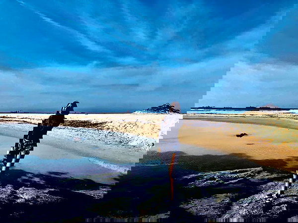 liad.arazi image ~ Altpins