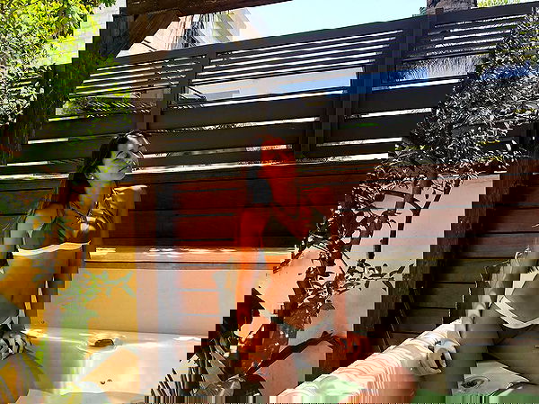 liad.arazi image ~ Altpins