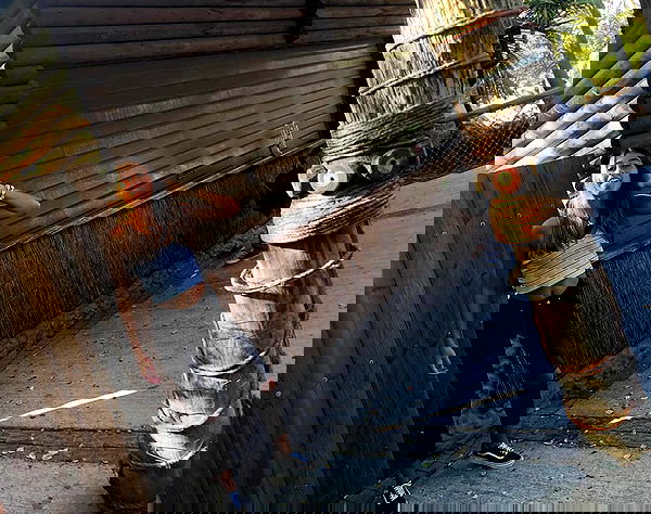 liad.arazi image ~ Altpins