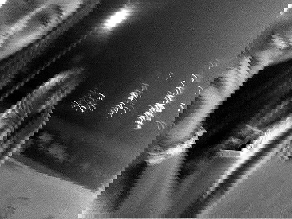 liad.arazi image ~ Altpins