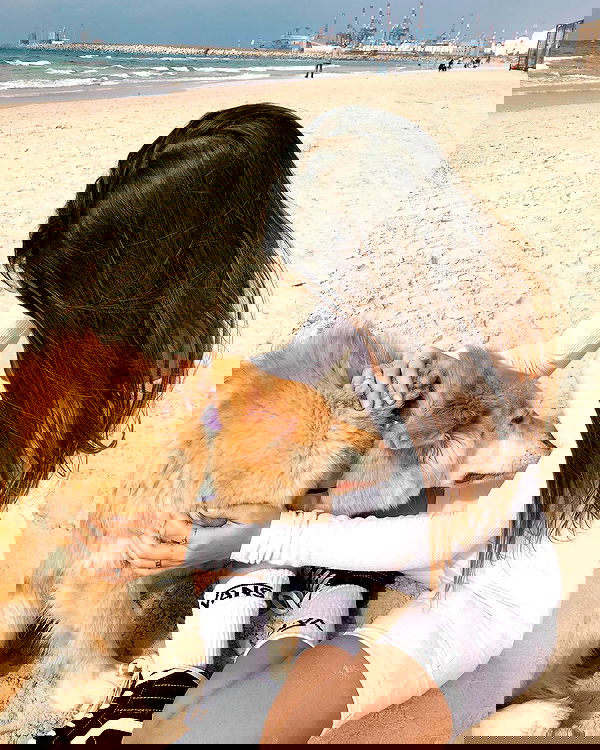 liad.arazi image ~ Altpins