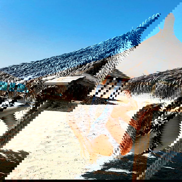 liad.arazi image ~ Altpins