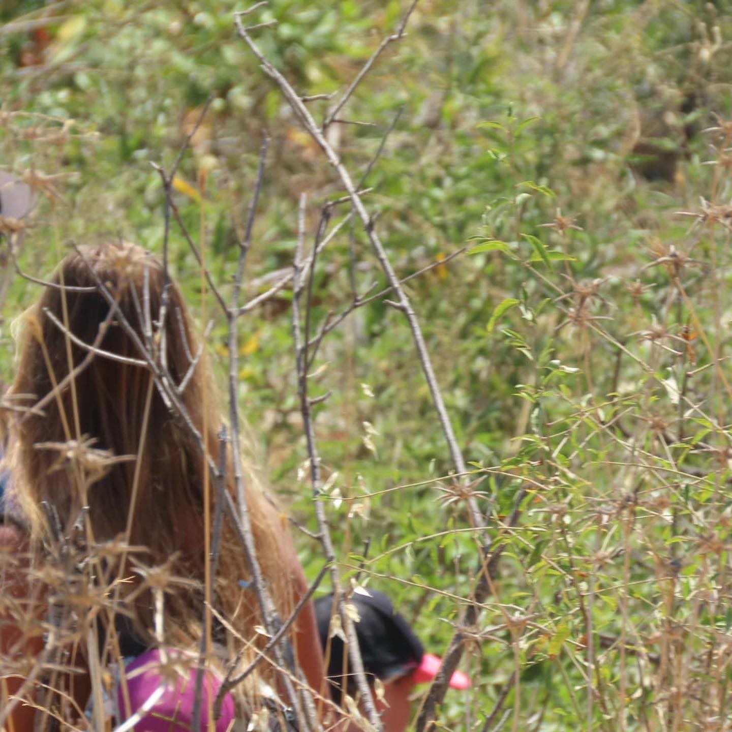 liad.arazi instagram image archive image