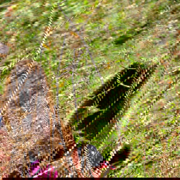 liad.arazi image ~ Altpins