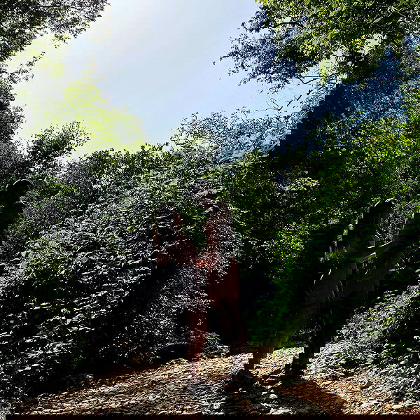 liad.arazi image ~ Altpins