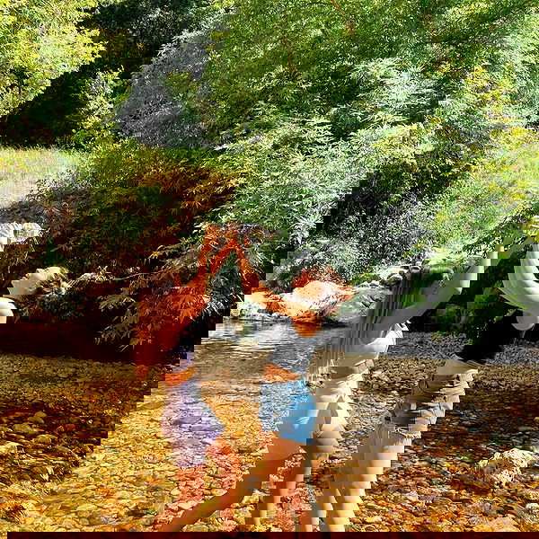 liad.arazi image ~ Altpins