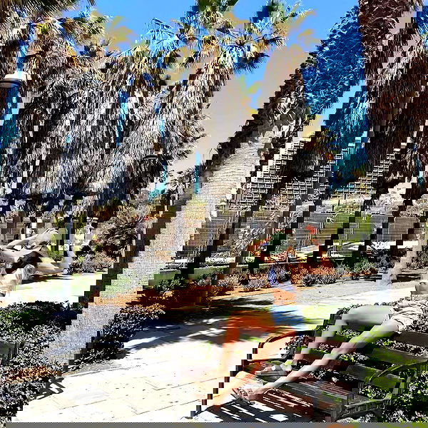 liad.arazi image ~ Altpins