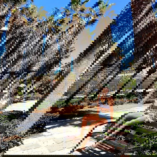 liad.arazi image ~ Altpins