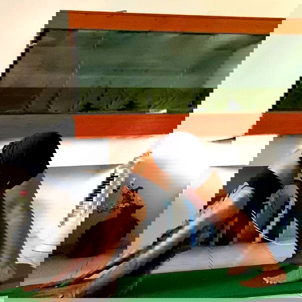 liad.arazi image ~ Altpins